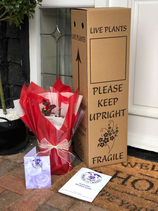 Packaging